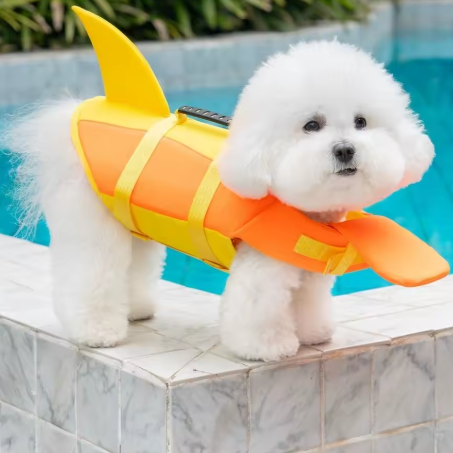 Small white dog standing at a pool edge in the Orange / Mango PetVest, yellow shark fin along its back